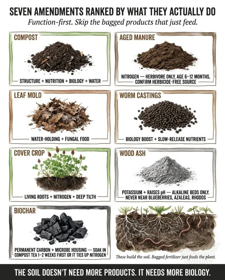 Compost Fixes All Soil Problems 1 A healthy garden with rich compost improving soil quality.